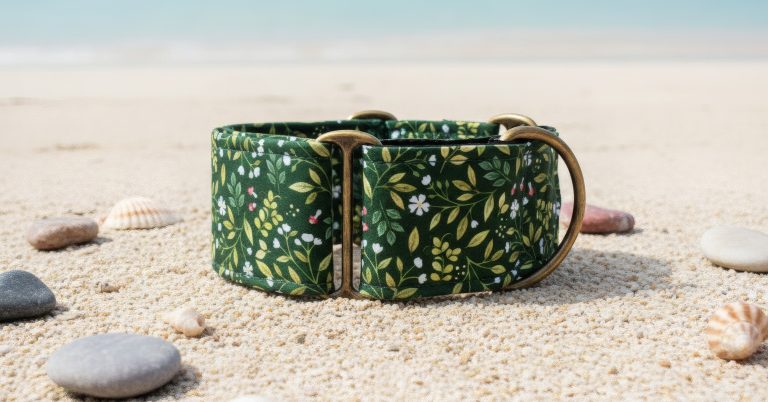 Perché Siamo Ossessionati da Green Witch (E Anche Il Tuo Cane Lo Sarà)