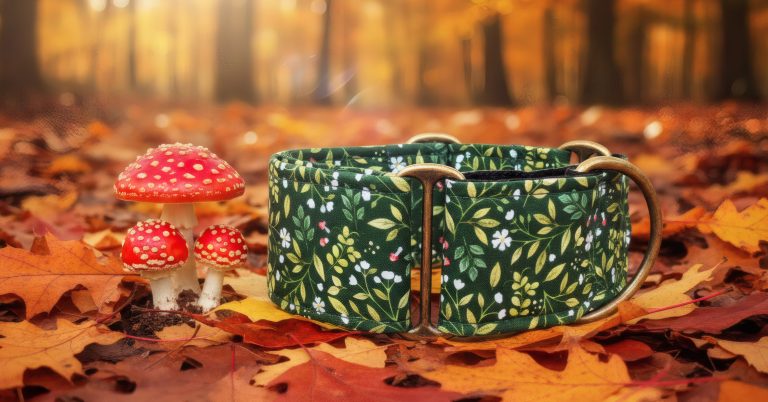 Pourquoi Nous Sommes Obsédés par Green Witch (Et Votre Chien Le Sera Aussi)